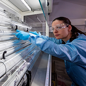 Women in Optics profile headshot: Natalie Wheeler in lab