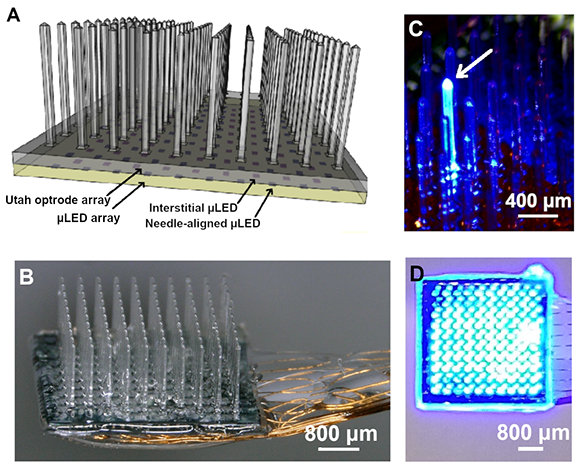 The integrated LED device