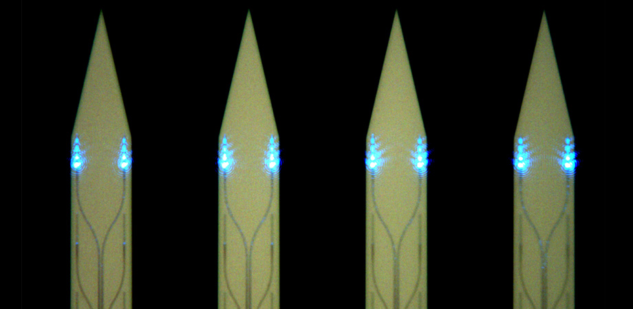 Optical microscope image of implantable shanks (141 micron pitch) of a light sheet neural probe