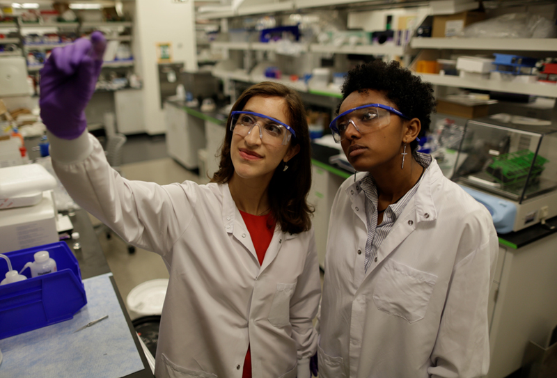 Lisa Poulikakos and her colleague Loza Tadesse study pathological tissue biopsies at Stanford University. 