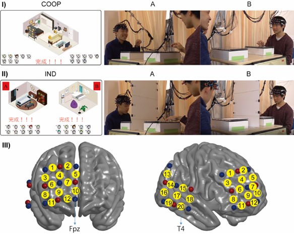 Overview of the experimental setup used to study brain synchronization during cooperative tasks