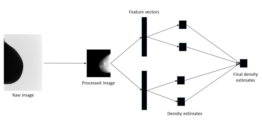 To estimate breast density, researchers used two pre-trained deep learning models to extract features from mammograms, producing feature vectors.