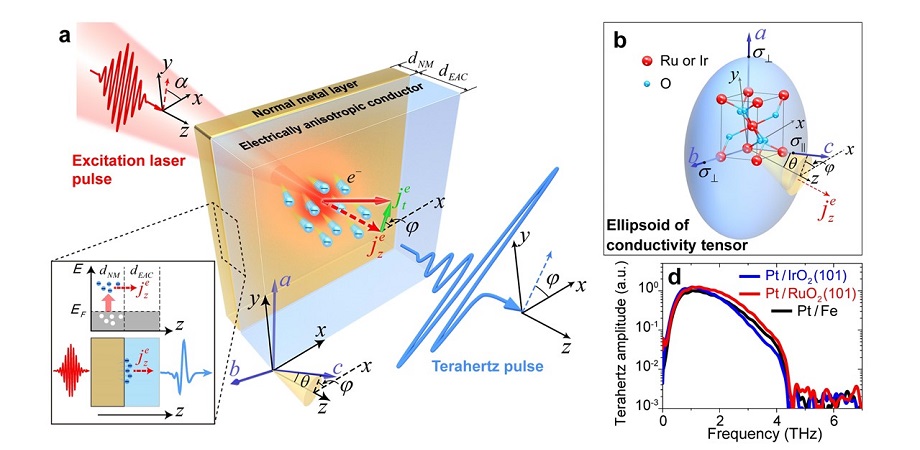 A nonrelativistic mechanism for terahertz pulse formation using an electrically anisotropic conductor-based heterostructure (a), ellipsoid of the conductivity tensor of the anisotropic conductors RuO2 and IrO2 (b), and characterization of the generated pulse (c and d). Image credit: Zhang, Cui, Wang, et al., doi 10.1117/1.AP.5.5.0560XX.