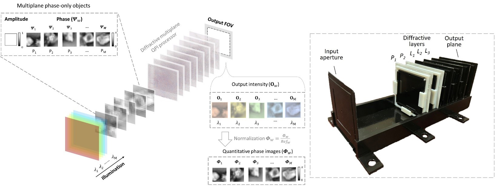 a new method for quantitative phase imaging of a 3D phase-only object using a wavelength-multiplexed diffractive optical processor