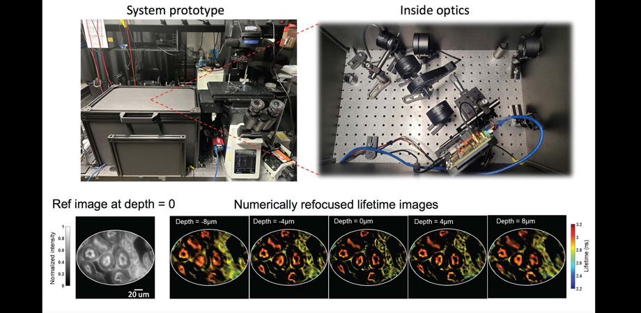 Light-field tomographic fluorescence lifetime imaging microscope (LIFT-FLIM)