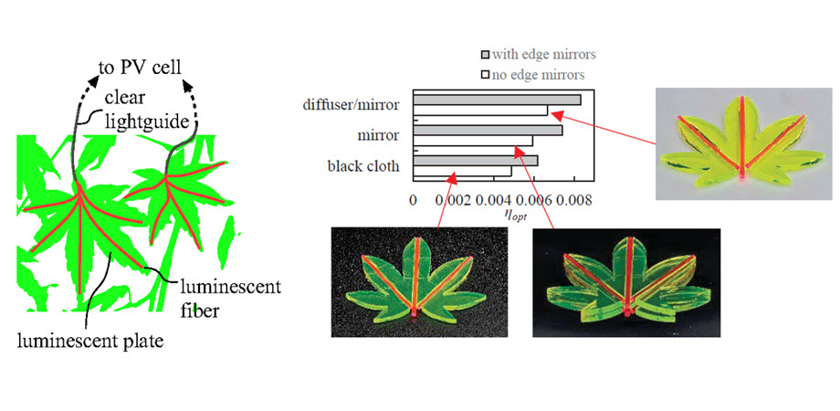 Maple-leaf-shaped luminescent solar concentrator