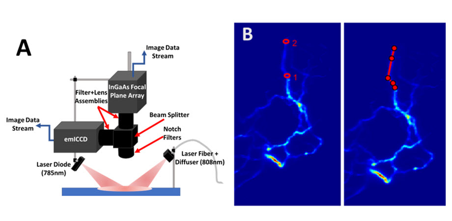 A multispectral imaging system helps visualize and measure circulation within lymphatic vessels