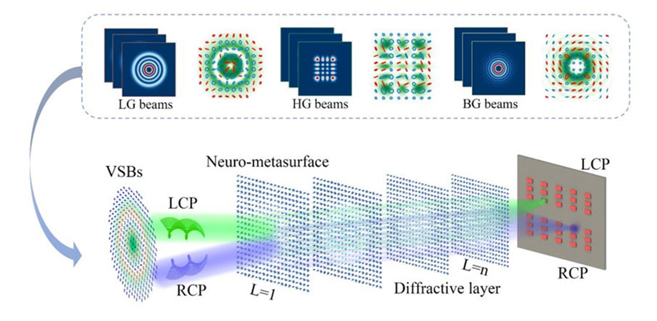 Multilayer spin-multiplexed metasurfaces act as neurons in a multiplexed diffractive neural network