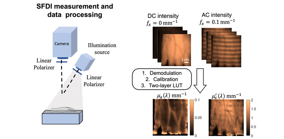 SFDI system acquires imaging data