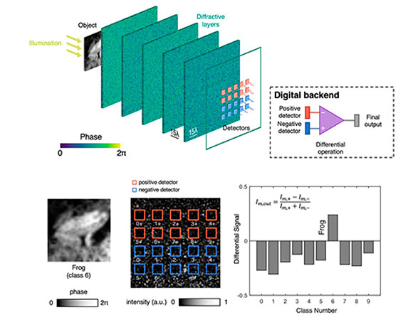 APOzcan-Operation principles of a differential diffractive optical neural network.