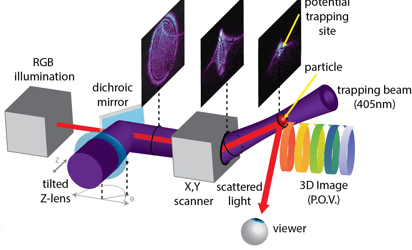 Schematic of the Smalley Lab Optical Trap Display setup