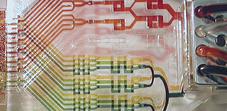 Going with the (micro) flow: The world of microfluidics