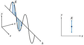 Polarization 1