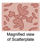 magnified scatterplate