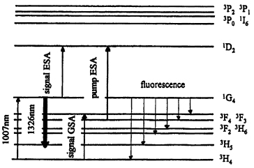 energy level diagram for Pr3+ emissions