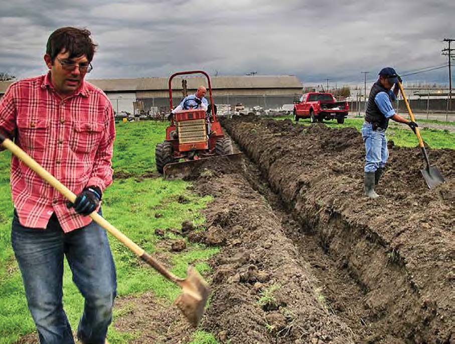 Geoscientists lay fiber at a University of California, Berkeley, facility for measuring seismic signals.